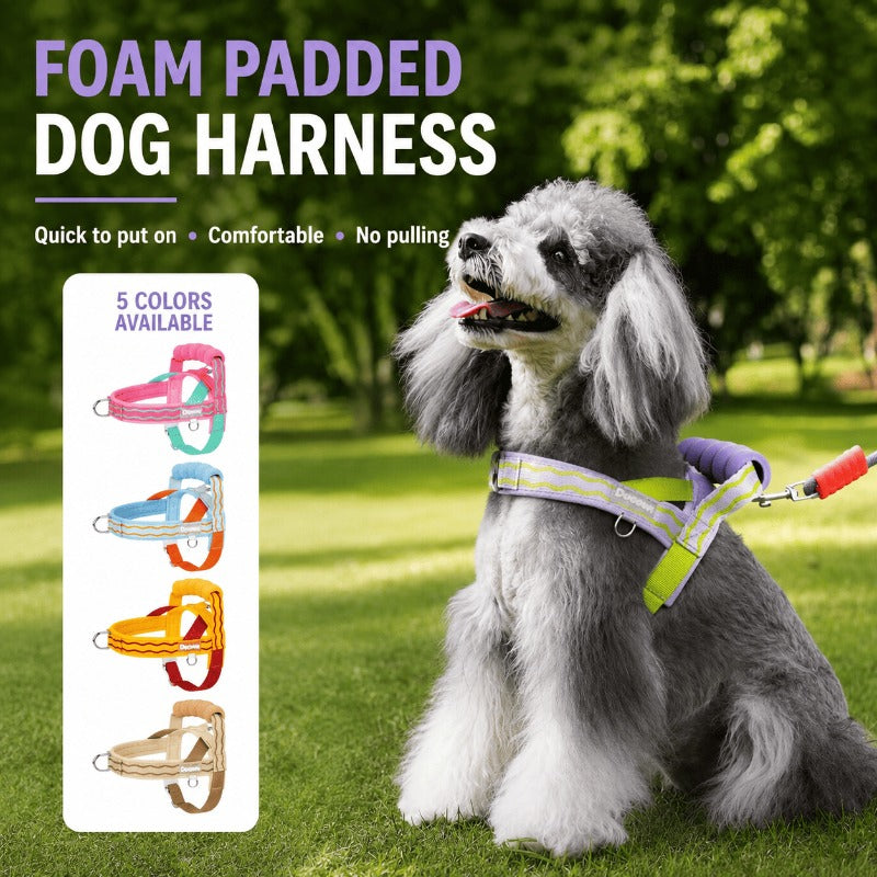 🐕Fashionable small-sized dog leash