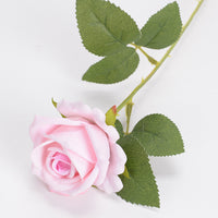 Pink Heart
