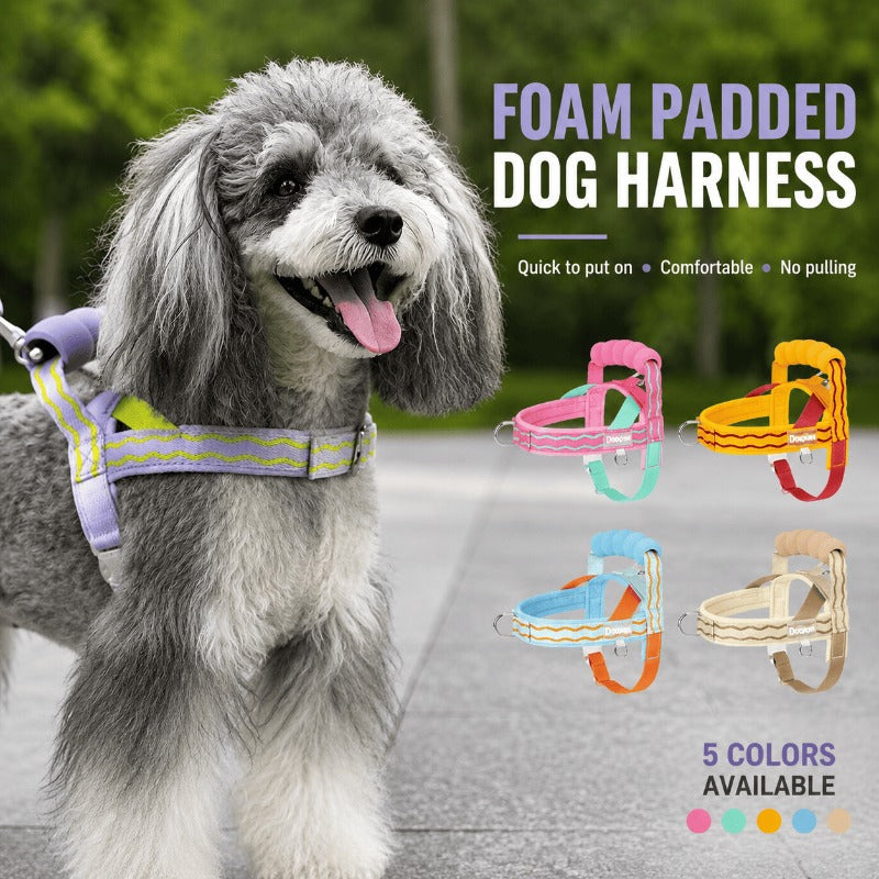 🐕Fashionable small-sized dog leash