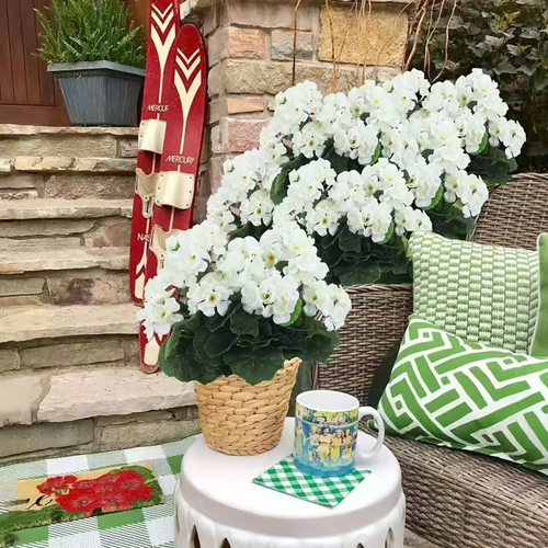 🌸 LAST DAY 49%OFF🌸 Bundles Artificial Geranium Flowers For Outdoors Geranium Flowers Outdoor Artificial Flowers UV Resistant Garden Plants Faux Flowers For Home Kitchen Table Centerpieces Patio Decor