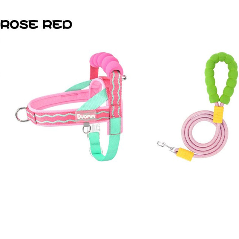 🐕Fashionable small-sized dog leash