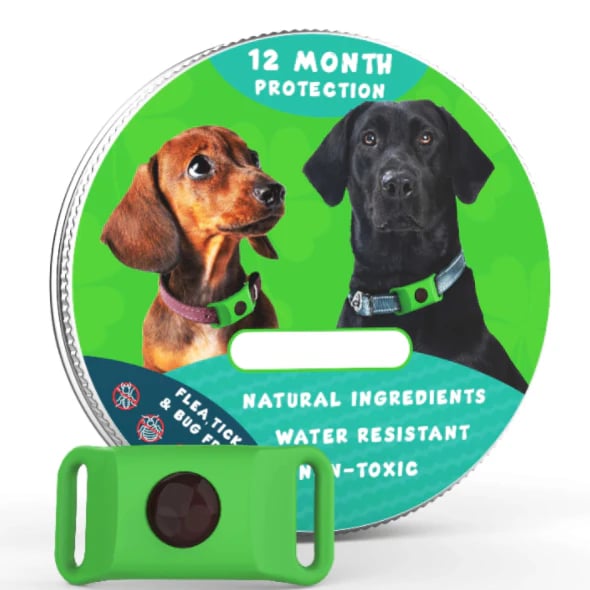 🔥 HOT SALE 🔥⏰HOT SALE 50% OFF-🐕12 Months Flea and Tick Free