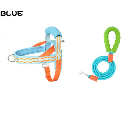 🐕Fashionable small-sized dog leash