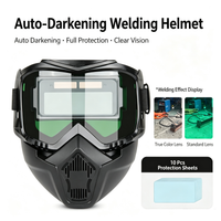 Welding Helmet+Protective film*10