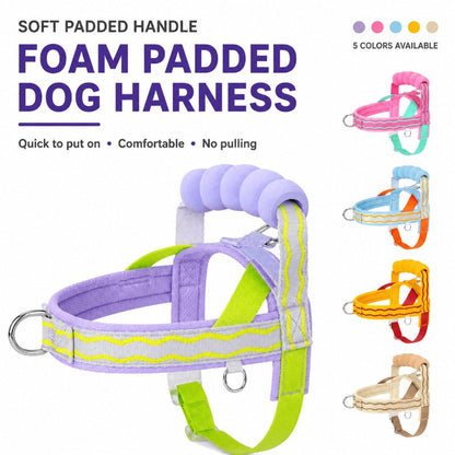 🐕Fashionable small-sized dog leash