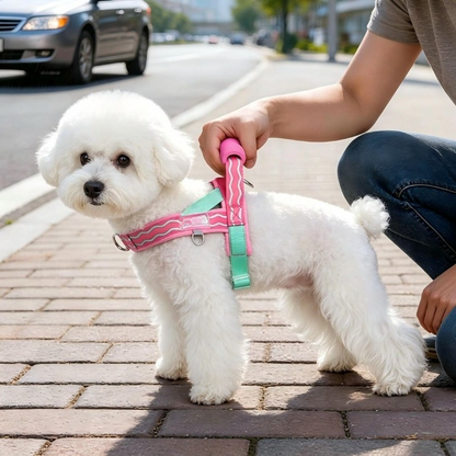 🐕Fashionable small-sized dog leash