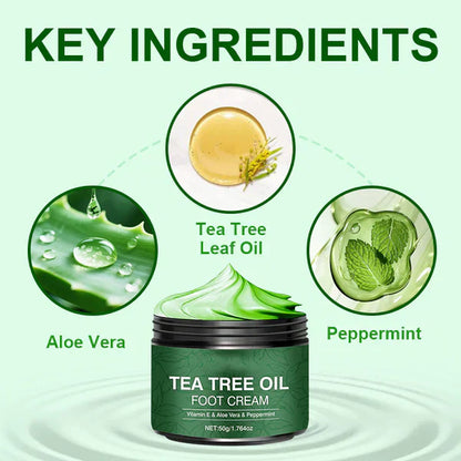 Soothing Aloe Vera & Tea Tree Foot Moisturizer