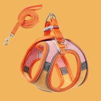 Orange+Pink