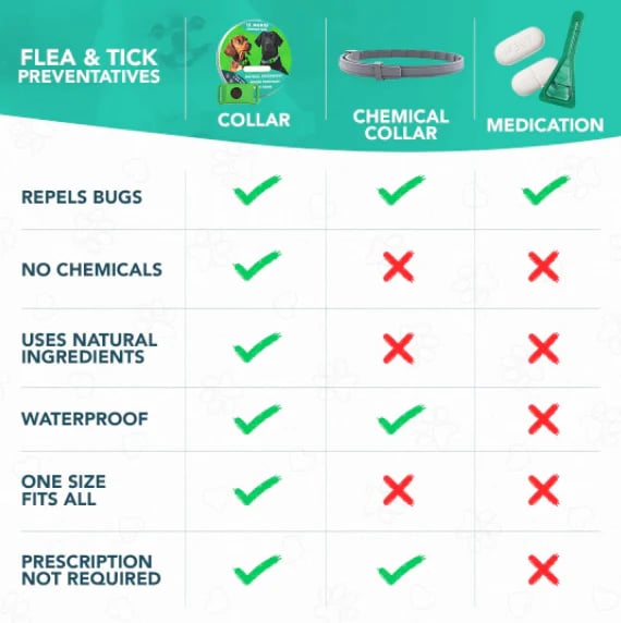🔥 HOT SALE 🔥⏰HOT SALE 50% OFF-🐕12 Months Flea and Tick Free
