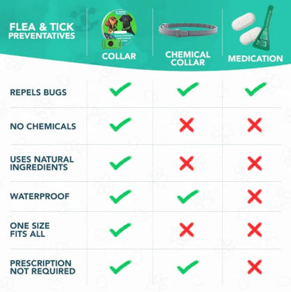 🔥 HOT SALE 🔥⏰HOT SALE 50% OFF-🐕12 Months Flea and Tick Free