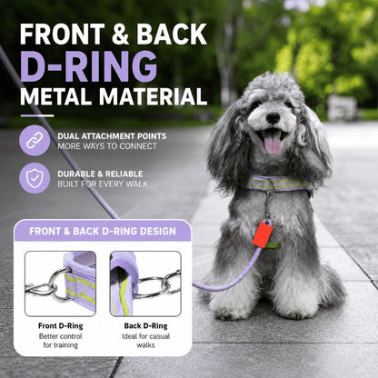 🐕Fashionable small-sized dog leash
