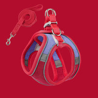 Red+Blue