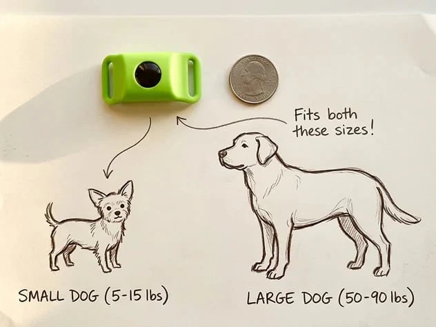 🔥 HOT SALE 🔥⏰HOT SALE 50% OFF-🐕12 Months Flea and Tick Free