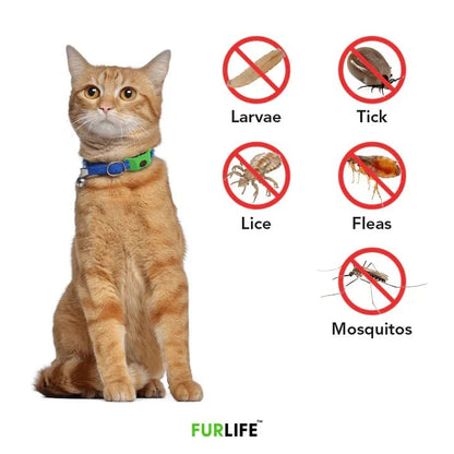 🔥 HOT SALE 🔥⏰HOT SALE 50% OFF-🐕12 Months Flea and Tick Free