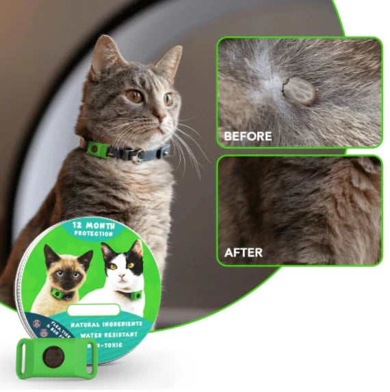 🔥 HOT SALE 🔥⏰HOT SALE 50% OFF-🐕12 Months Flea and Tick Free