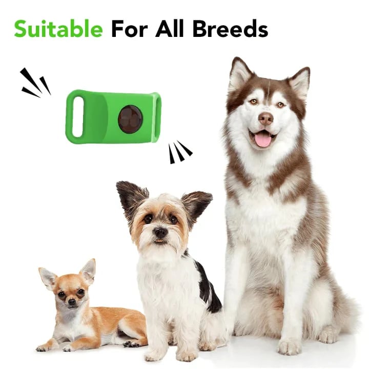 🔥 HOT SALE 🔥⏰HOT SALE 50% OFF-🐕12 Months Flea and Tick Free