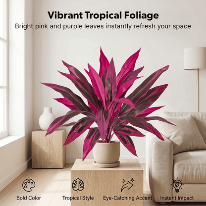 🎁 Mother’s Day 60% OFF - Artificial Boston Fern & Dragon's Blood Tree Plants