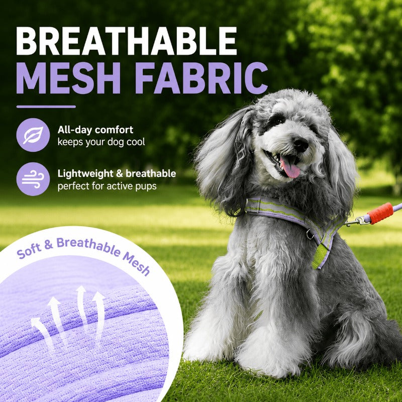 🐕Fashionable small-sized dog leash