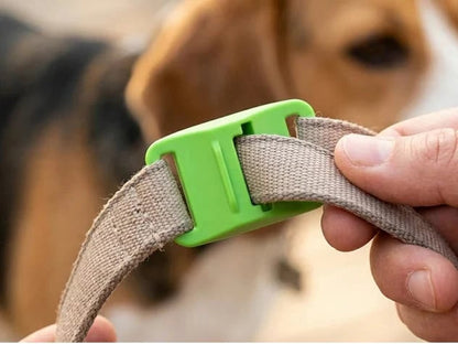 🔥 HOT SALE 🔥⏰HOT SALE 50% OFF-🐕12 Months Flea and Tick Free