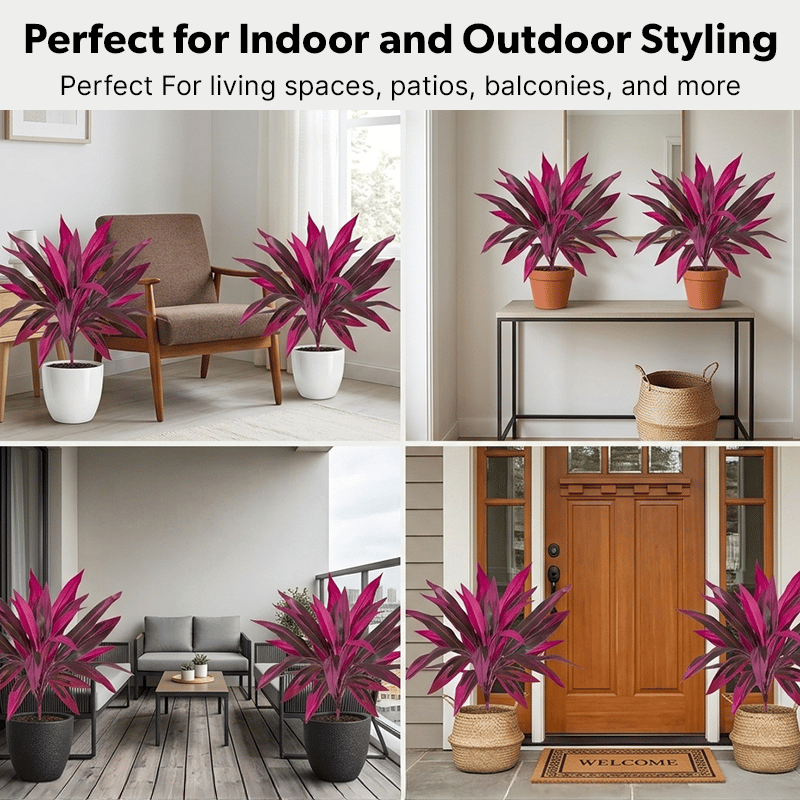 🎁 Mother’s Day 60% OFF - Artificial Boston Fern & Dragon's Blood Tree Plants