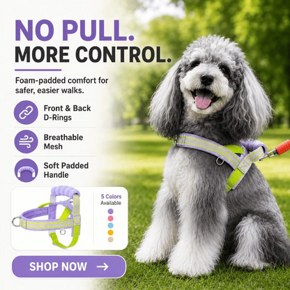 🐕Fashionable small-sized dog leash