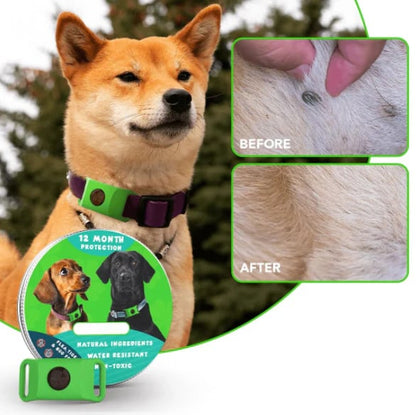 🔥 HOT SALE 🔥⏰HOT SALE 50% OFF-🐕12 Months Flea and Tick Free