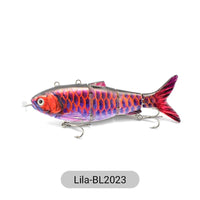 violet-BL2023